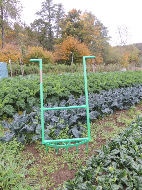 grelinette vert