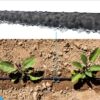 Moestuin pakket - Afbeelding 5
