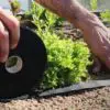 Kit potager VISA REG